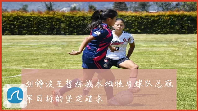 刘铮谈王哲林战术牺牲与球队总冠军目标的坚定追求